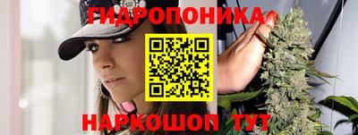 гидропоника Пенза