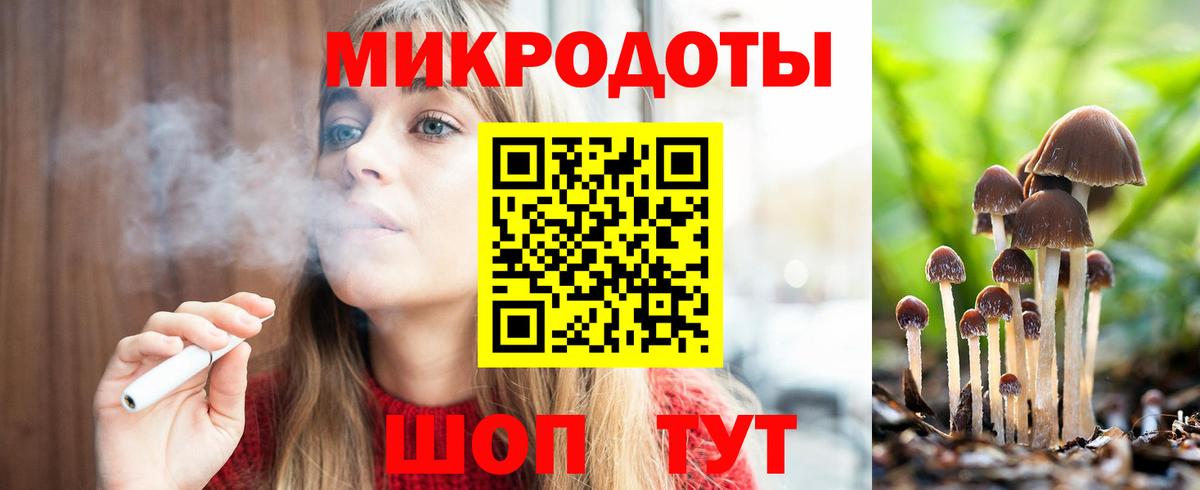 Галлюциногенные грибы Psilocybine cubensis  Вход с VPN  Псилоцибиновые грибы мухоморы  Самара 