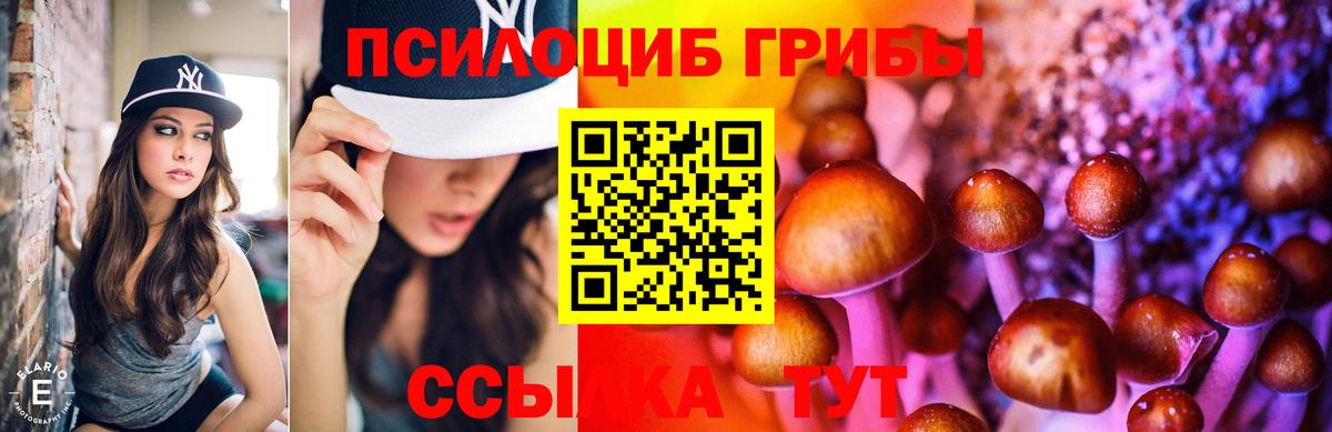 Галлюциногенные грибы Cubensis Самара